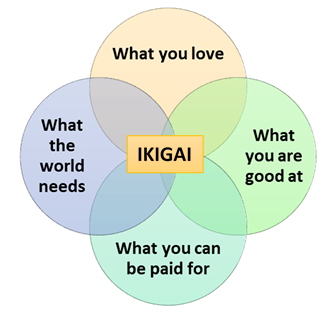 Purpose or Meaning of Life - Karma Yoga meets IKIGAI - Satvik Money